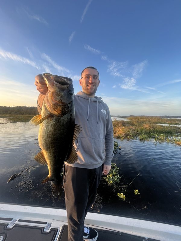 Angler holding a giant largemouth bass at sunrise with grass flats in the background