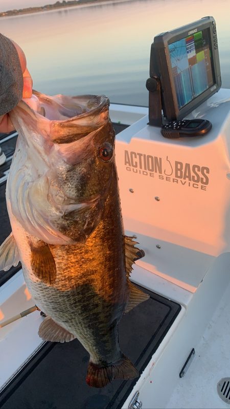 Largemouth bass held beside the Action Bass Guide Service console at sunrise on a Central Florida lake